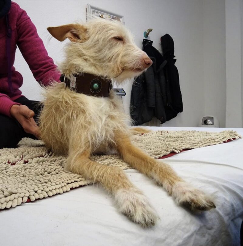 Bildschirmfoto 2024 06 12 um 16 01 10