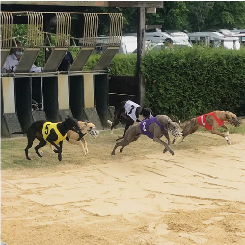 Bildschirmfoto 2024 06 12 um 16 02 05