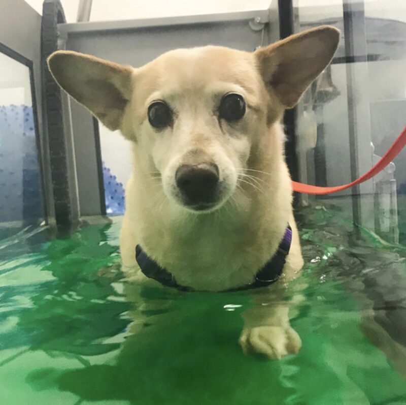 Bildschirmfoto 2024 06 12 um 16 02 51