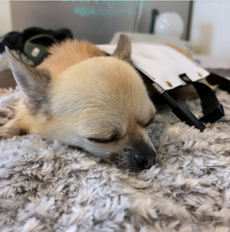 Bildschirmfoto 2024 06 12 um 16 04 07