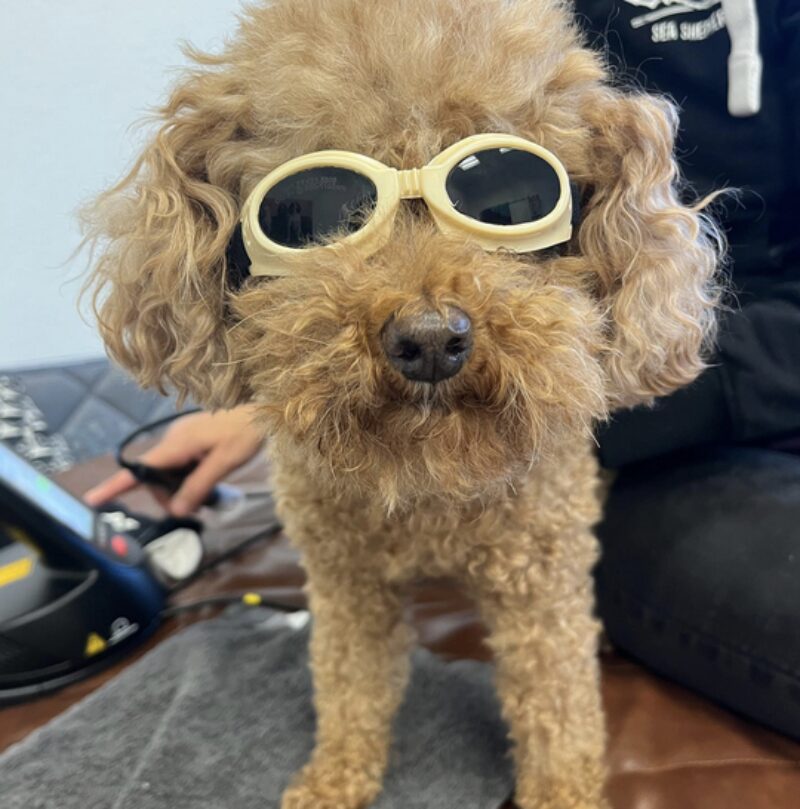 Bildschirmfoto 2024 06 12 um 16 05 26