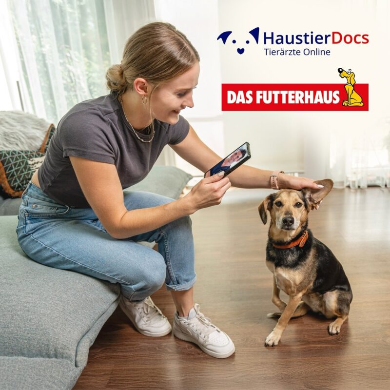 491439685 17966749061889896 6368092586405752016 n