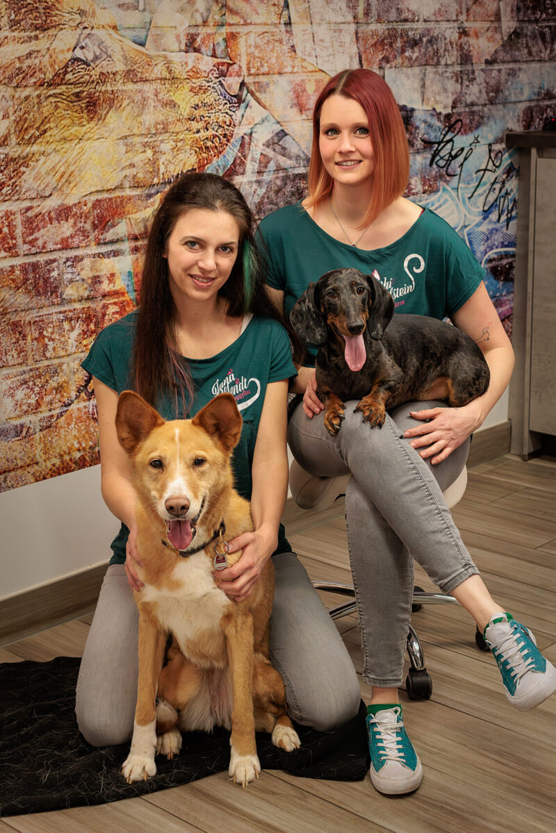 4 L3 A8784 Verbessert NR Kopie 1140x1709