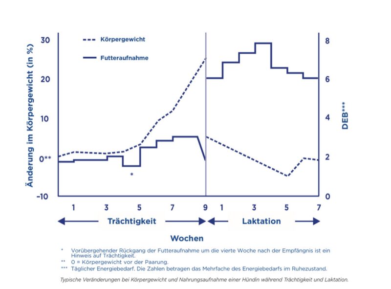 Bildschirmfoto 2024 06 21 um 08 25 00
