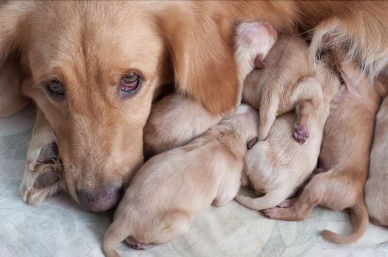 Bildschirmfoto 2024 06 21 um 08 35 58