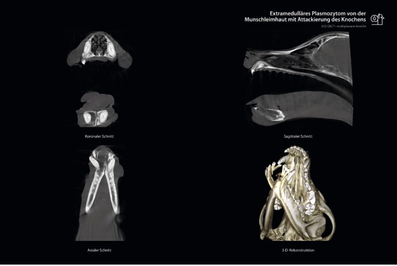 Bildschirmfoto 2024 06 21 um 14 17 29