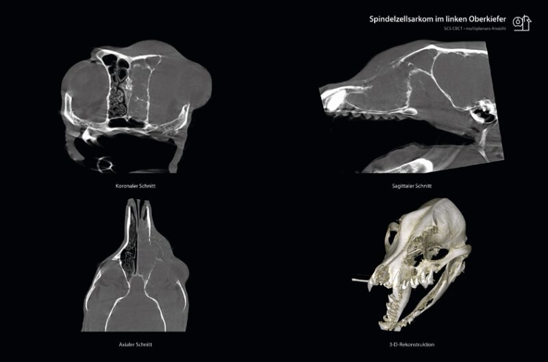 Bildschirmfoto 2024 06 21 um 14 19 10