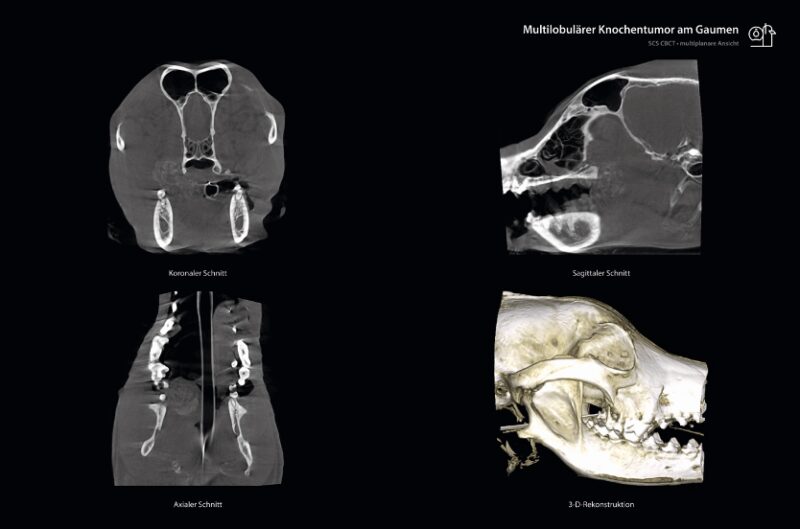 Bildschirmfoto 2024 06 21 um 14 22 26