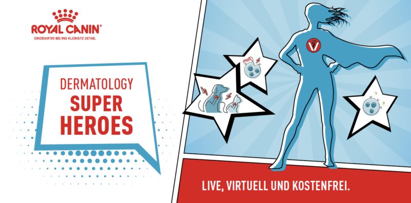 Bildschirmfoto 2024 08 26 um 21 21 43