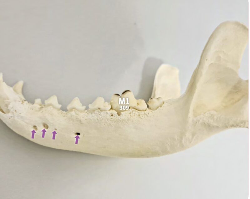 Bildschirmfoto 2024 09 20 um 14 14 03