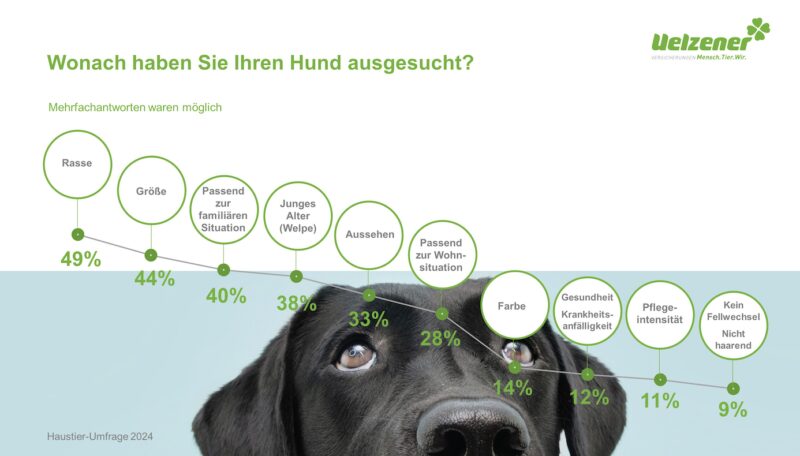 Bildschirmfoto 2024 09 24 um 13 56 15