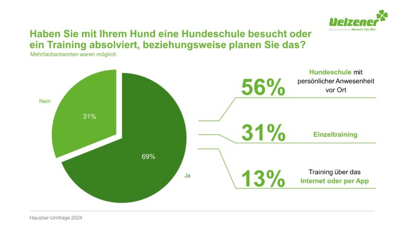 Infografik Hunde Ausbildung