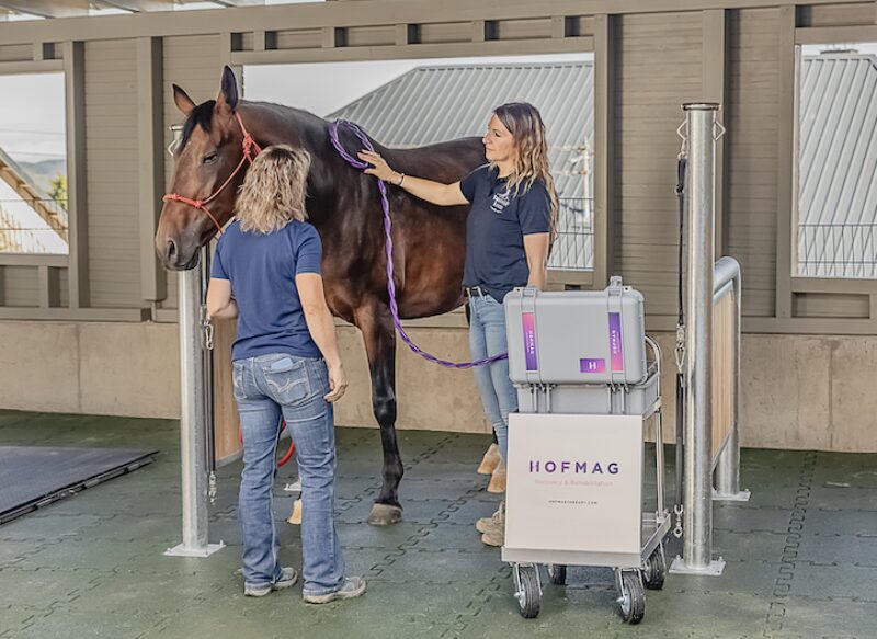 Bildschirmfoto 2024 09 28 um 13 54 38