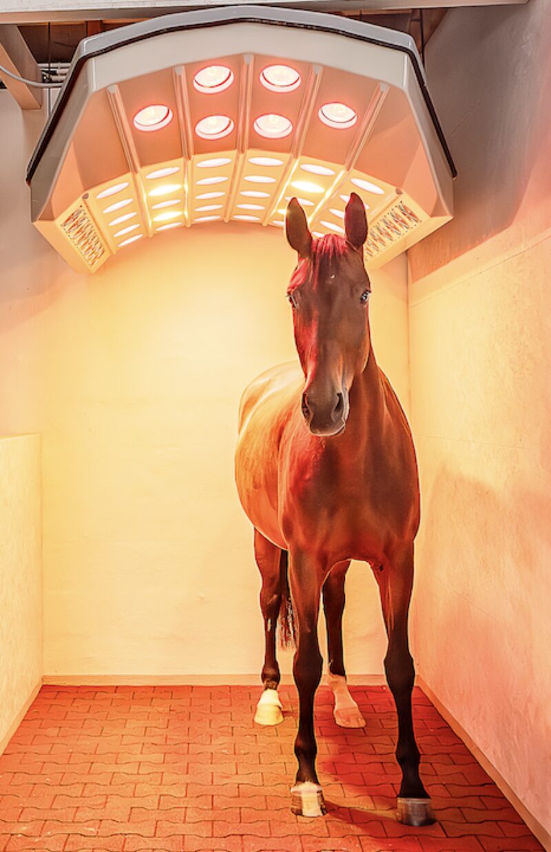 Bildschirmfoto 2024 09 28 um 16 13 09