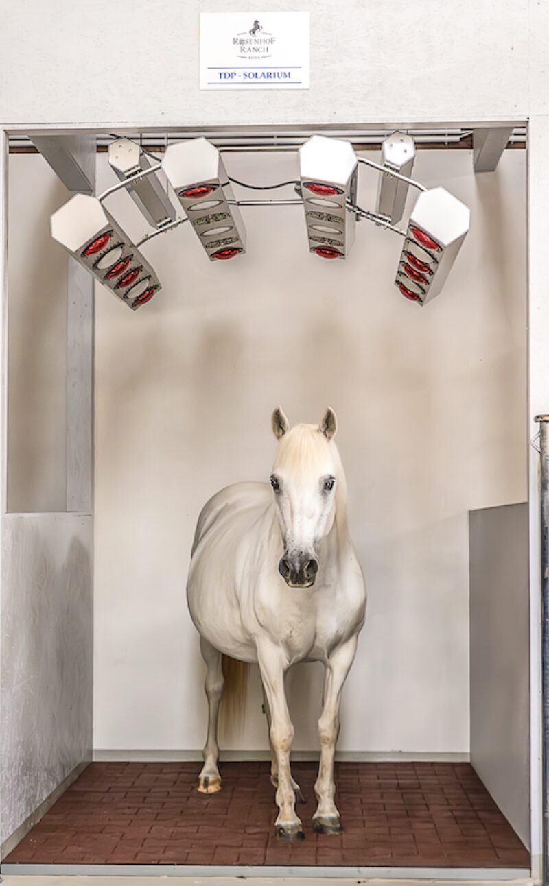 Bildschirmfoto 2024 09 28 um 16 13 27