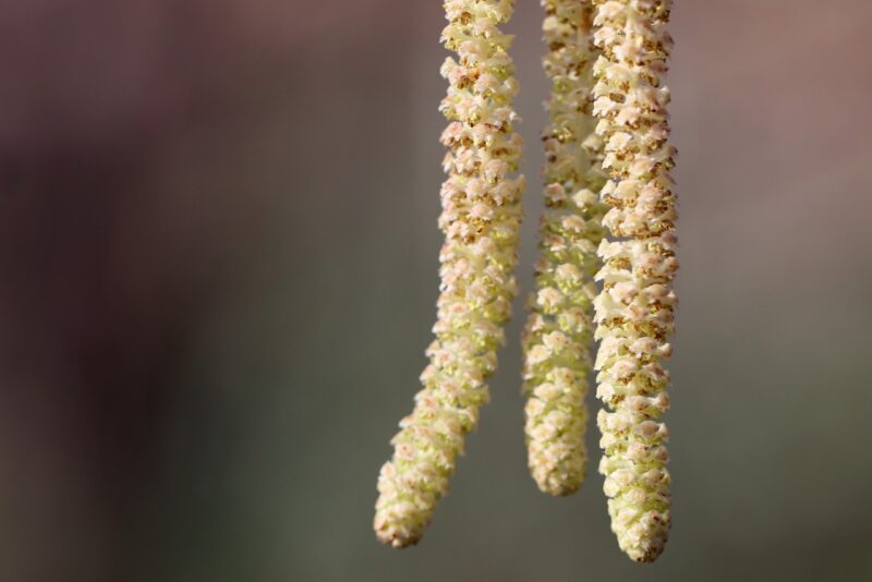 53e9d2434d52aa14f6da8c7dda353678143cd7e151507649 1280