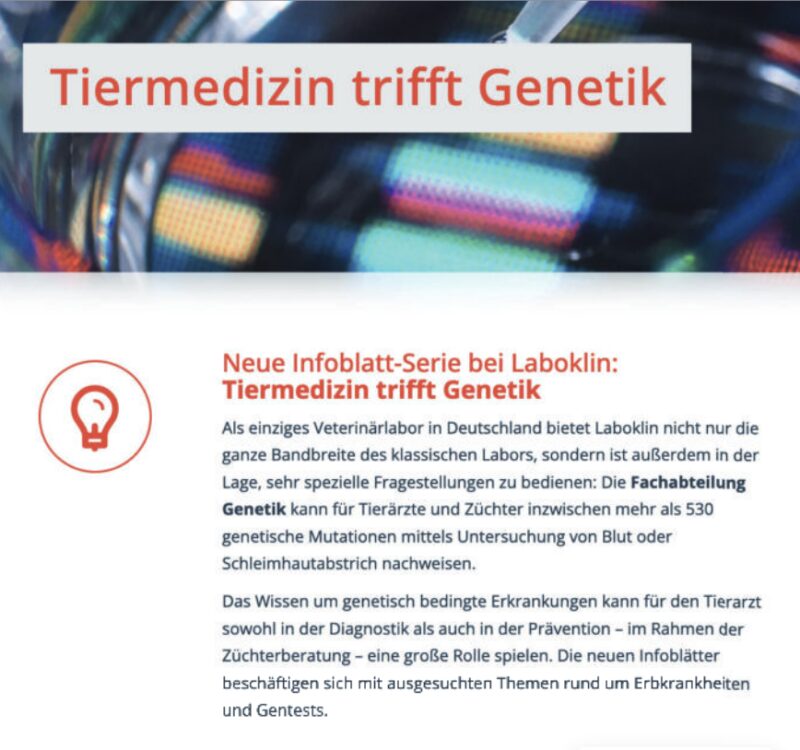 Bildschirmfoto 2024 10 15 um 18 12 07