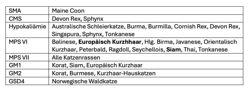 Bildschirmfoto 2024 10 15 um 18 06 39