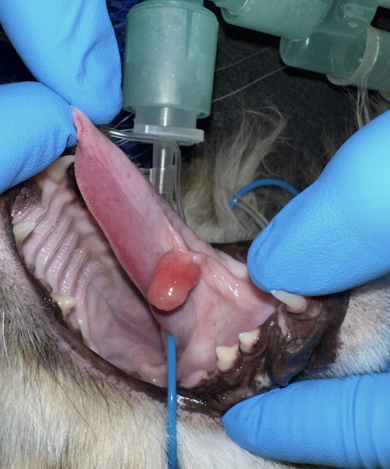 Bildschirmfoto 2024 10 16 um 11 45 19