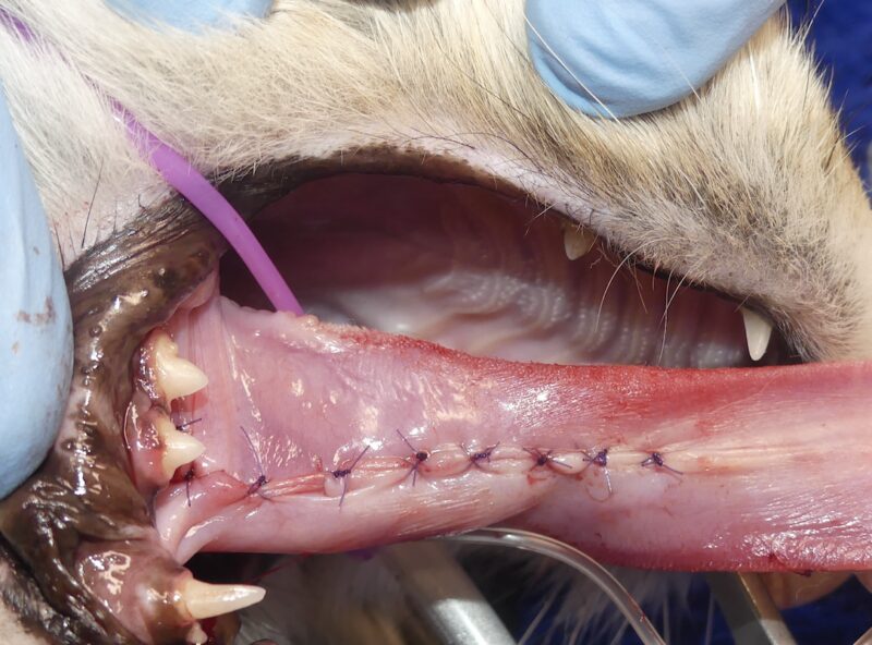 Bildschirmfoto 2024 10 16 um 11 45 42