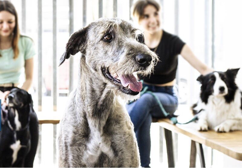 Bildschirmfoto 2024 10 18 um 11 23 43