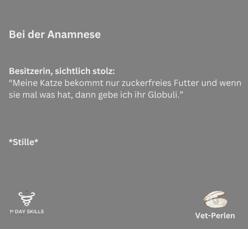 Bildschirmfoto 2024 10 19 um 13 46 31