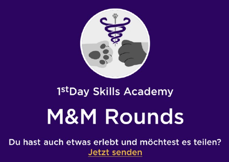 Bildschirmfoto 2024 10 19 um 13 47 42