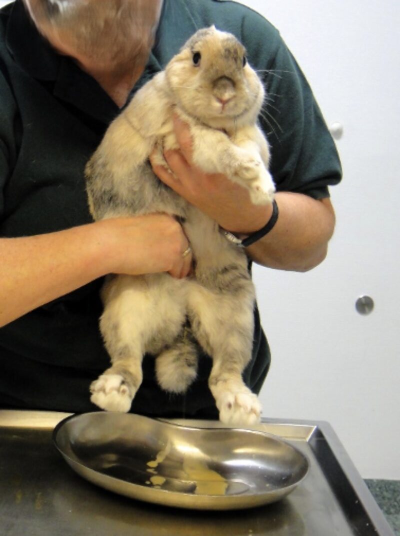 Bildschirmfoto 2024 10 19 um 14 29 23