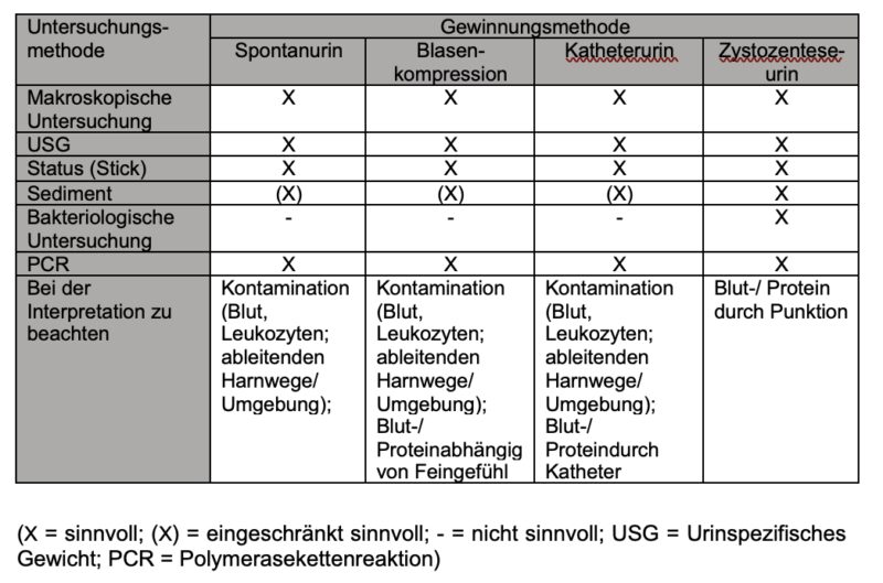 Bildschirmfoto 2024 10 19 um 14 34 50