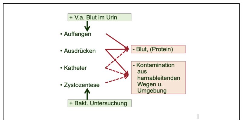 Bildschirmfoto 2024 10 19 um 14 38 07