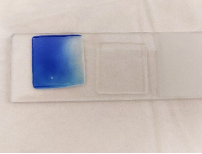 Bildschirmfoto 2024 10 19 um 14 44 27