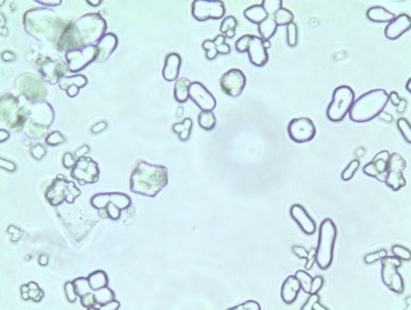 Bildschirmfoto 2024 10 19 um 14 51 23