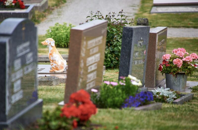 Bildschirmfoto 2024 10 20 um 15 15 48