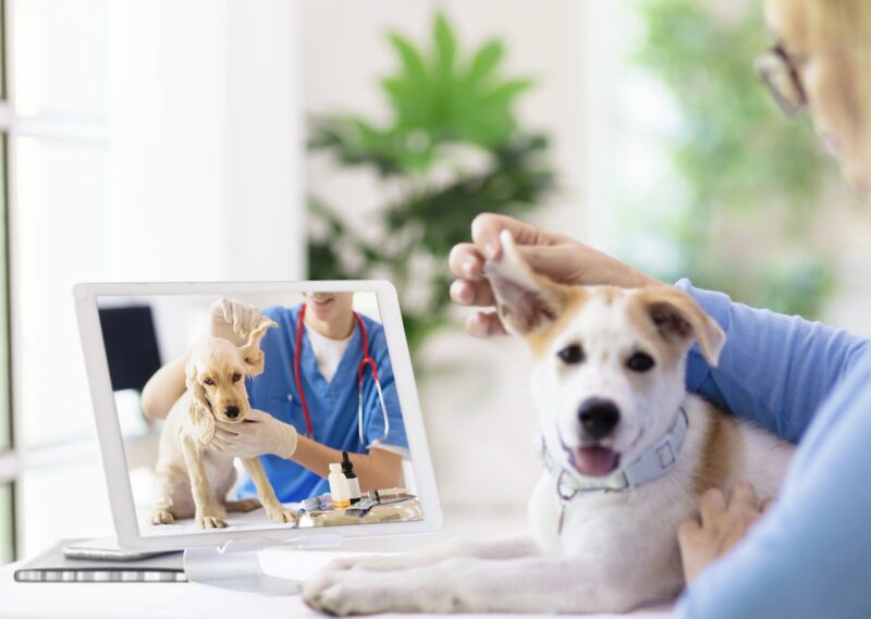 Bildschirmfoto 2024 10 20 um 17 53 10