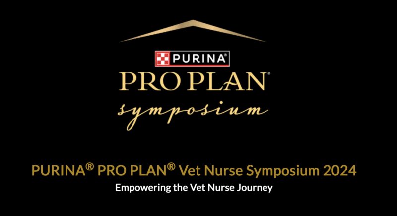 Bildschirmfoto 2024 10 21 um 00 49 12