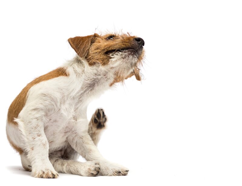 Bildschirmfoto 2024 10 22 um 18 21 26