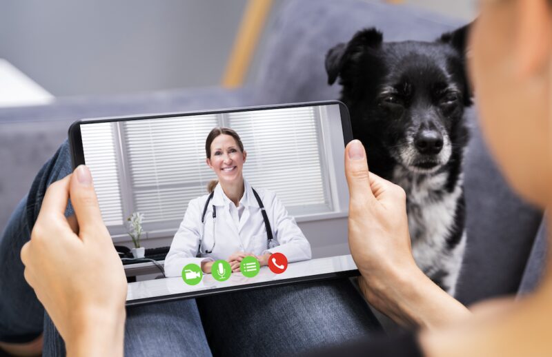 Bildschirmfoto 2024 10 22 um 18 21 13