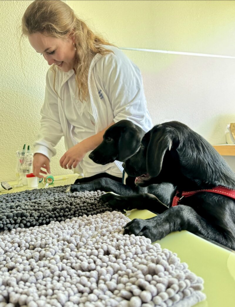 Bildschirmfoto 2024 10 25 um 18 27 12