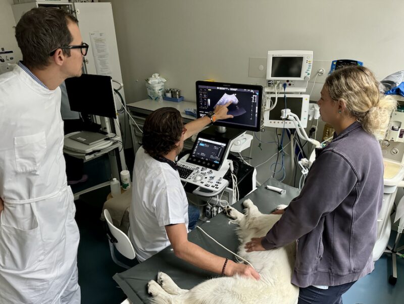 Bildschirmfoto 2024 10 25 um 18 40 07