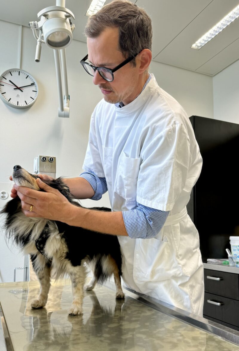 Bildschirmfoto 2024 10 25 um 18 51 19