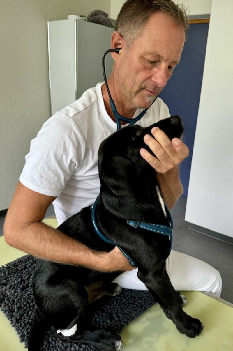 Bildschirmfoto 2024 10 25 um 18 52 32