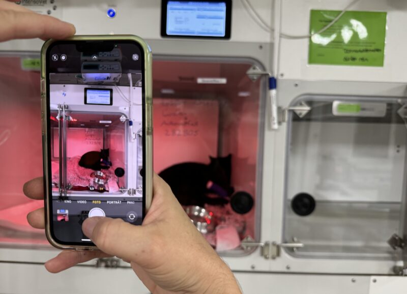 Bildschirmfoto 2024 10 29 um 11 44 50