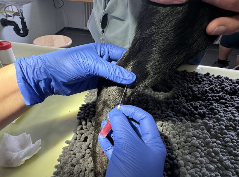 Bildschirmfoto 2024 10 30 um 07 29 19