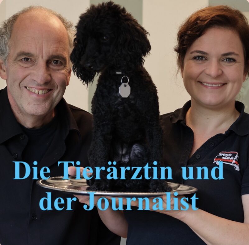 Bildschirmfoto 2024 11 18 um 12 54 26