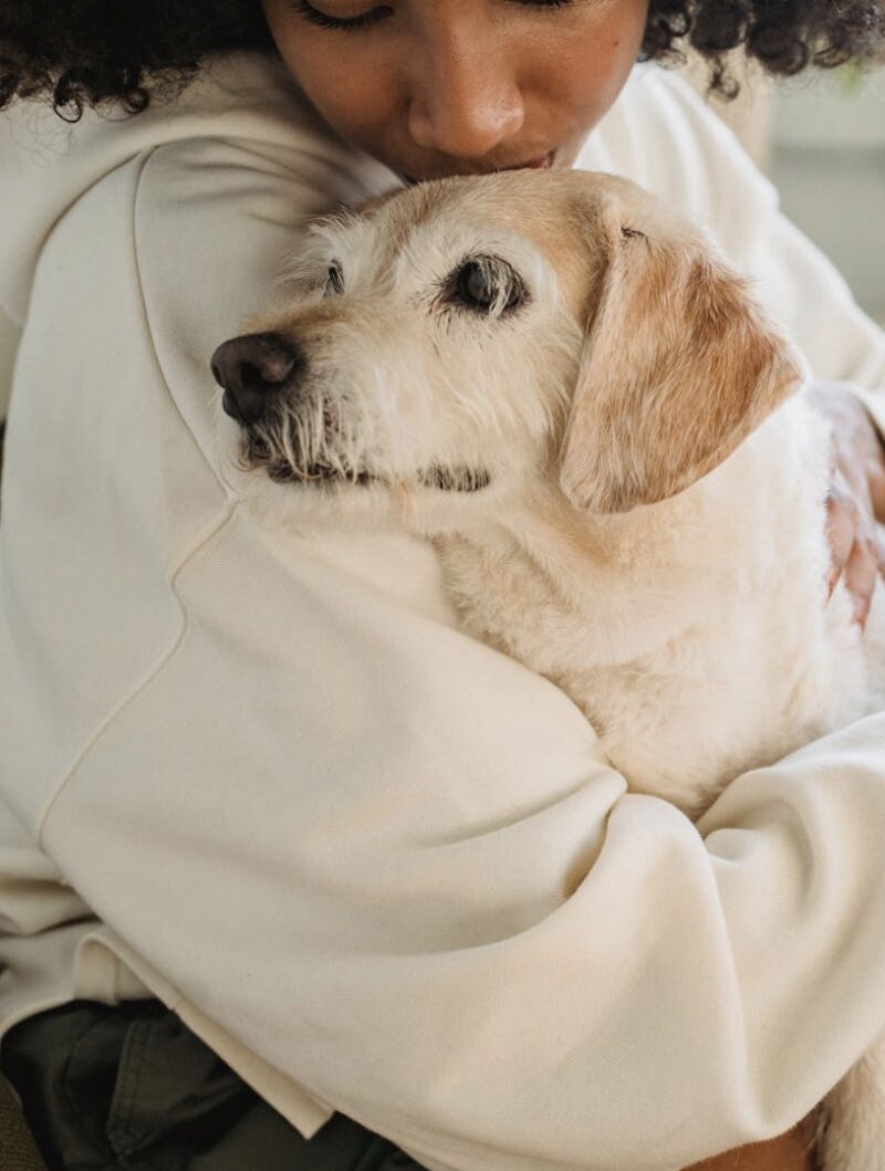 Screenshot 2024 07 09 at 07 26 47