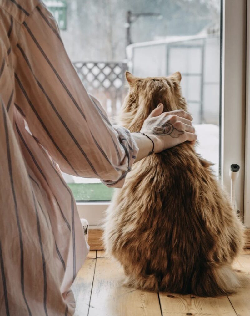 Screenshot 2024 07 09 at 07 29 52