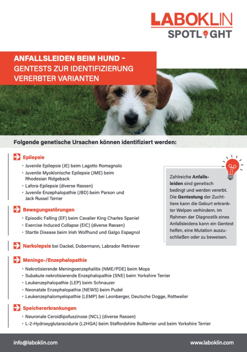 Bildschirmfoto 2024 11 21 um 08 15 16