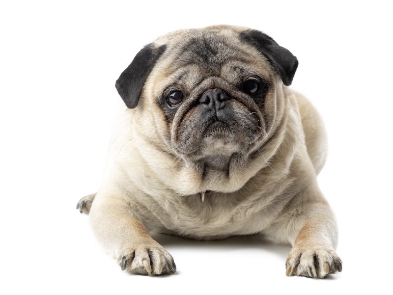 Bildschirmfoto 2024 11 21 um 08 21 49