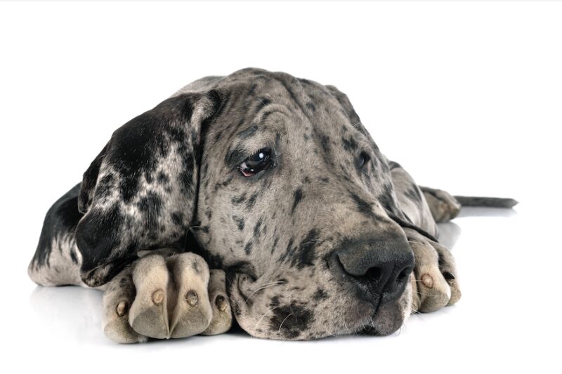 Bildschirmfoto 2024 11 21 um 08 24 37