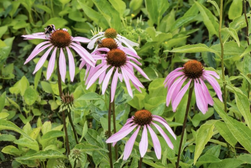 Bildschirmfoto 2024 11 21 um 18 07 18